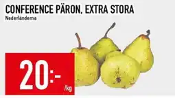 Matdax Conference päron, extra stora erbjuda