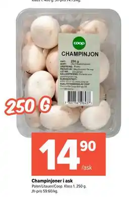 Coop Extra Champinjoner i ask erbjuda