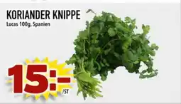 Din Mat Koriander knippe erbjuda