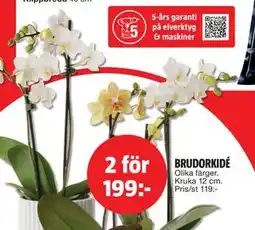 Bauhaus BRUDORKIDÉ erbjuda