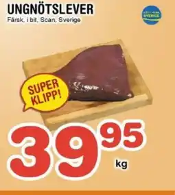 Nya Pulsen Ungnötslever erbjuda