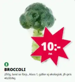 Tempo Broccoli erbjuda