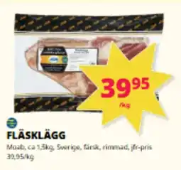 Tempo Moab Fläsklägg erbjuda