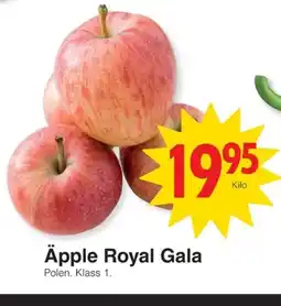 Matöppet Äpple Royal Gala erbjuda