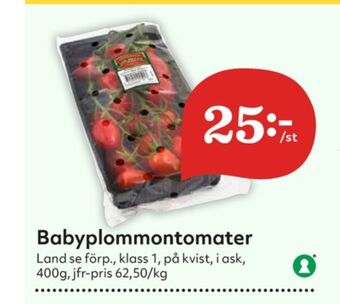 Plommontomater