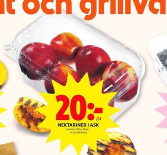 Nektariner