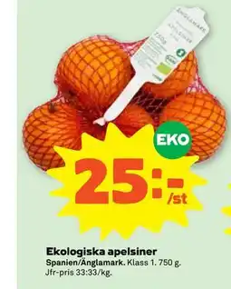 Stora Coop Ekologiska apelsiner erbjuda