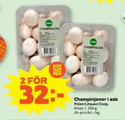 Stora Coop Champinjoner i ask erbjuda