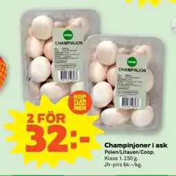 Coop CHAMPINJONER I ASK erbjuda