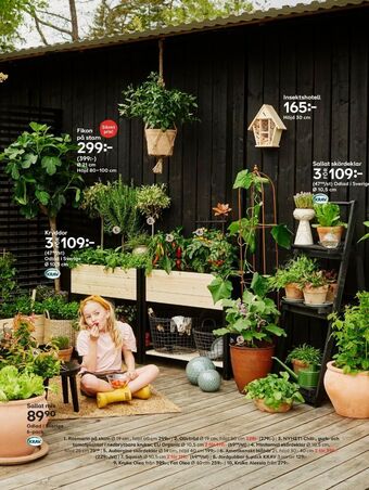 Plantagen Krukor erbjuda