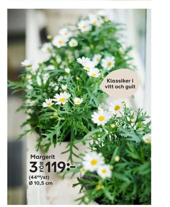 Plantagen Plantor erbjuda