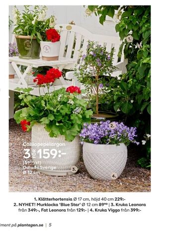 Plantagen Plantor erbjuda