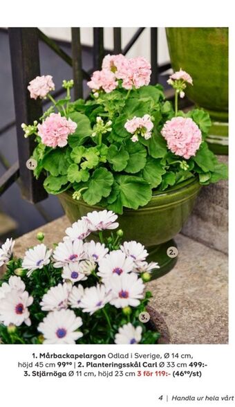 Plantagen Krukor erbjuda