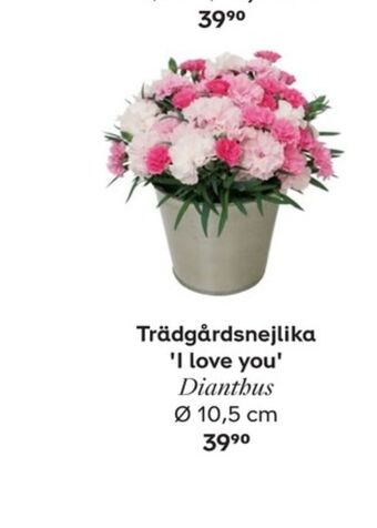 Plantagen Plantor erbjuda