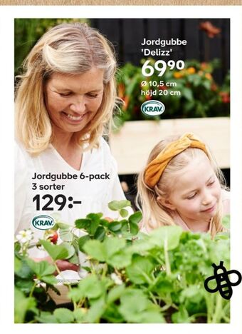 Plantagen Plantor erbjuda