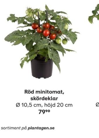 Plantagen Plantor erbjuda