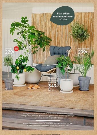Plantagen Krukor erbjuda