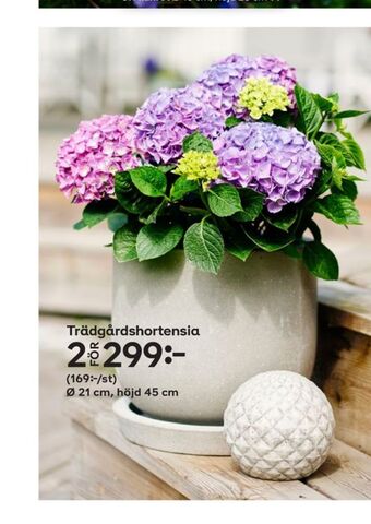 Plantagen Plantor erbjuda