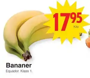 Bananer