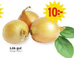 Matöppet Lök gul erbjuda