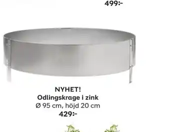 Odlingskrage