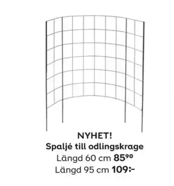 Spaljé