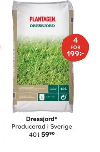 Plantagen Gräsmattedress