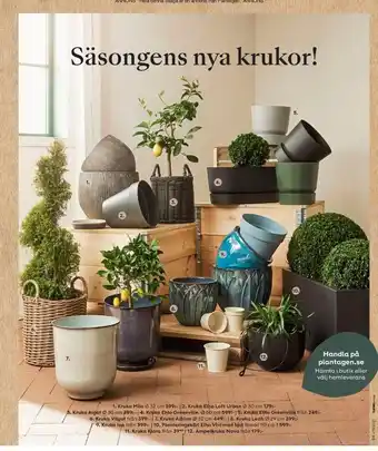 Krukor