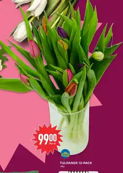 Willys Tulpaner erbjuda