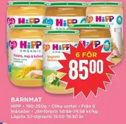 Willys HIPP Barnmat erbjuda