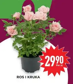 Willys Hemma ROS I KRUKA erbjuda