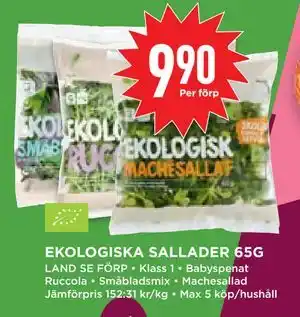 Willys Hemma EKOLOGISKA SALLADER 65G erbjuda
