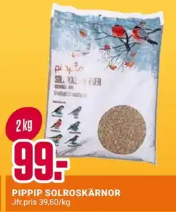 ÖoB PIPPIP SOLROSKÄRNOR erbjuda