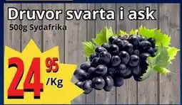 Supergrossen Druvor svarta i ask erbjuda
