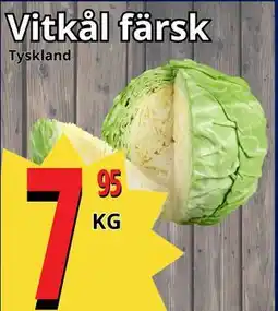 Supergrossen Vitkål färsk erbjuda
