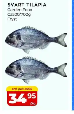 Matrix Butikerna Svart tilapia erbjuda