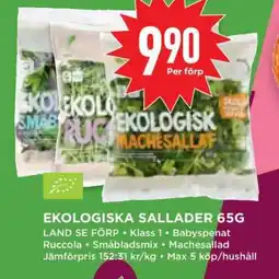 Willys EKOLGOSKA SALLADER 65G erbjuda