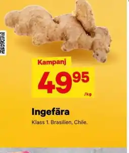 City Gross Ingefära erbjuda