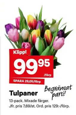 City Gross Tulpaner erbjuda