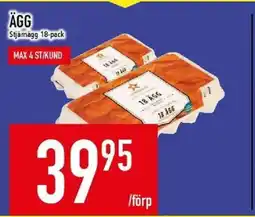 Matdax Stjärnägg Ägg erbjuda