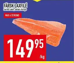 Matdax Färsk laxfilé erbjuda