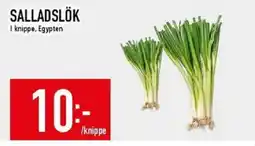 Matdax Salladslök erbjuda