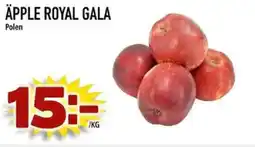 Din Mat Äpple royal gala erbjuda