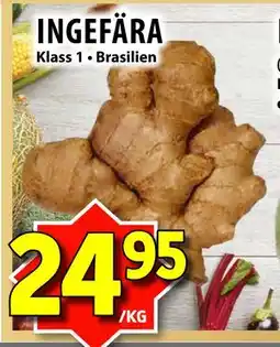 Matvärlden Tensta INGEFÄRA erbjuda