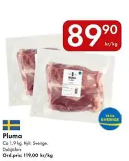 Snabbgross Pluma erbjuda