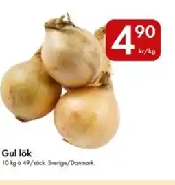 Snabbgross Gul lök erbjuda