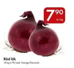 Snabbgross Röd lök erbjuda