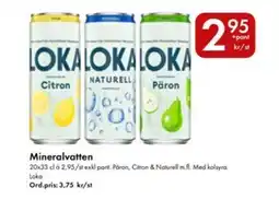 Snabbgross Loka Mineralvatten erbjuda