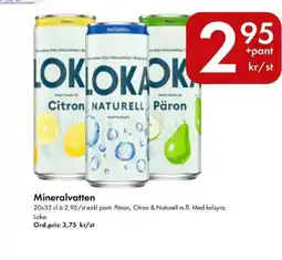 Snabbgross Loka Mineralvatten erbjuda