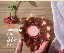 Mio LJUSLYKTA VIVA erbjuda